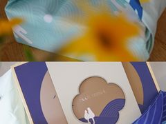 -猫里有甜