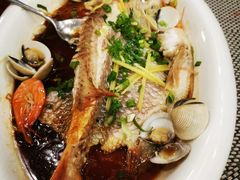 蒸鱼-南海食街(佛冈店)
