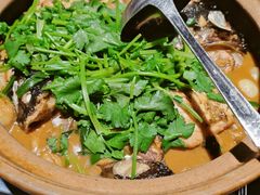 -九道菜有鸡鱼头(石鼓路店)