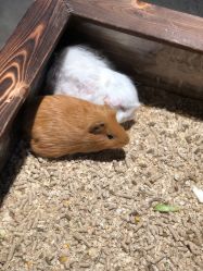 -酷嗒动物文化乐园(cutezoo西溪乐天城店)