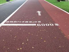 -南宁南湖公园