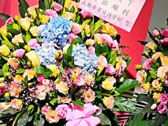 -帝京日语(春熙路旗舰校区)