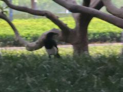 -白塘生态植物园