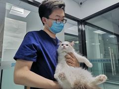 -嘉馨宠物医院·CT影像转诊·心脏科·犬猫全科诊疗中心(下沙大学城院区)
