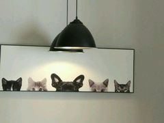 -吃饼人西餐(南开店)