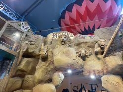 -卡通尼·Safari非洲探索乐园·生日会(金桥国际商业广场店)