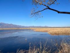 -野鸭湖国家湿地公园
