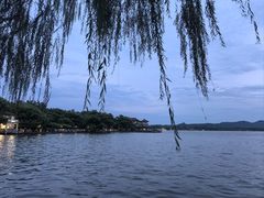 -菲乐餐厅(三十年经营·湖滨路店)