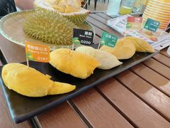-榴莲BB 四季果园