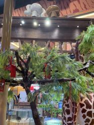 -卡通尼·Safari非洲探索乐园·生日会(金桥国际商业广场店)