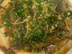 -杨记新泉美食