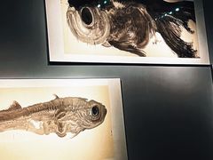 -江苏省美术馆(长江路新馆)