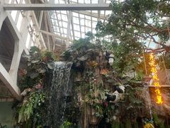 -正佳雨林生态植物园