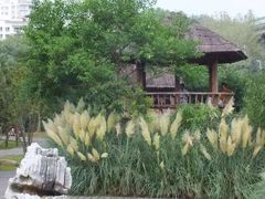 -贵阳市花溪国家城市湿地公园