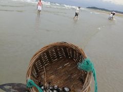 -红树林天天赶海