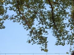 -颐而康·按摩·艾灸·足疗(汽车东站店)