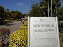 -集美学村