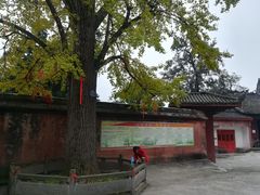 -金堂县云顶石城风景区