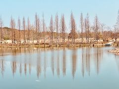 -上海辰山植物园
