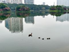 -南宁南湖公园