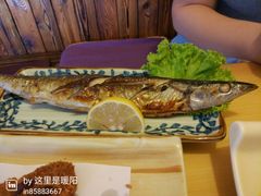 -浪花亭日本料理(古田路店)