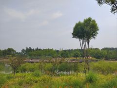-东郊湿地公园