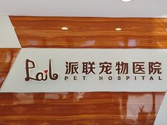 -派联宠物医院·24h·CT·异宠