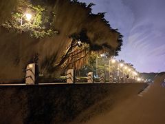 -深圳湾公园(南山区)