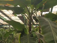 -第五季龙水凤港生态露营农场