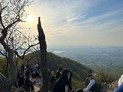 -紫金山山顶公园