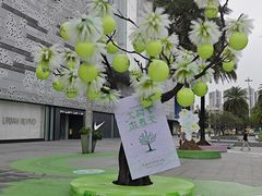 -万达广场(东莞东城店)