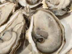 -千滋百味自助海鲜烤肉(布吉景华店)