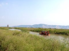 -漩门湾国家湿地公园