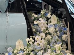 -梅赛德斯奔驰文化中心·停车场