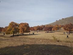 -五角枫生态旅游景区