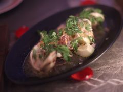 -Hi City·城市之巅