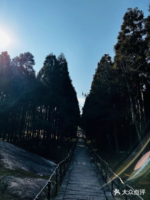 玉苍山国家森林公园图片