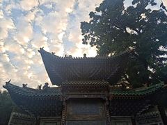 -迎泽公园
