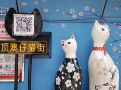 -猫咪博物馆(顶澳仔猫街店)
