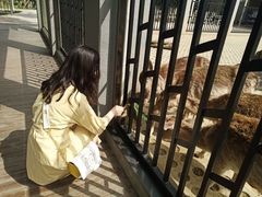 -西安秦岭野生动物园