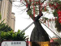 -河源客天下-温泉小镇