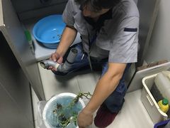-大宅设计设计店铺(浦东店)