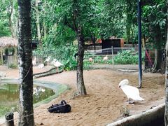 -清迈夜间动物园