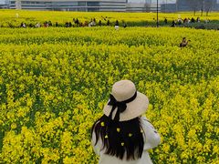 -三圣花乡旅游区