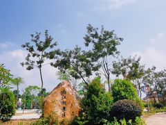 -广州白江湖森林公园