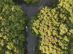 -动邦皮划艇·桨板·独木舟·团建户外运动俱乐部