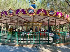 -长白岛森林公园