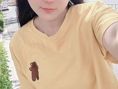 -泰州凤城河风景区-泰山公园