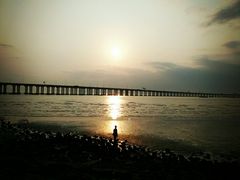 -宝安西湾红树林湿地公园