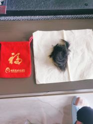 -禧婴婴儿理胎发·胎毛笔定制纪念品(新街口店)